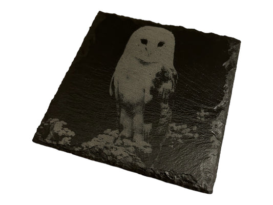 Barn Owl Engraved Square Slate Coasters FOR ANY OCCASION, Gifts,friends,family members,weddings,anniversaries,birthdays,Christmas